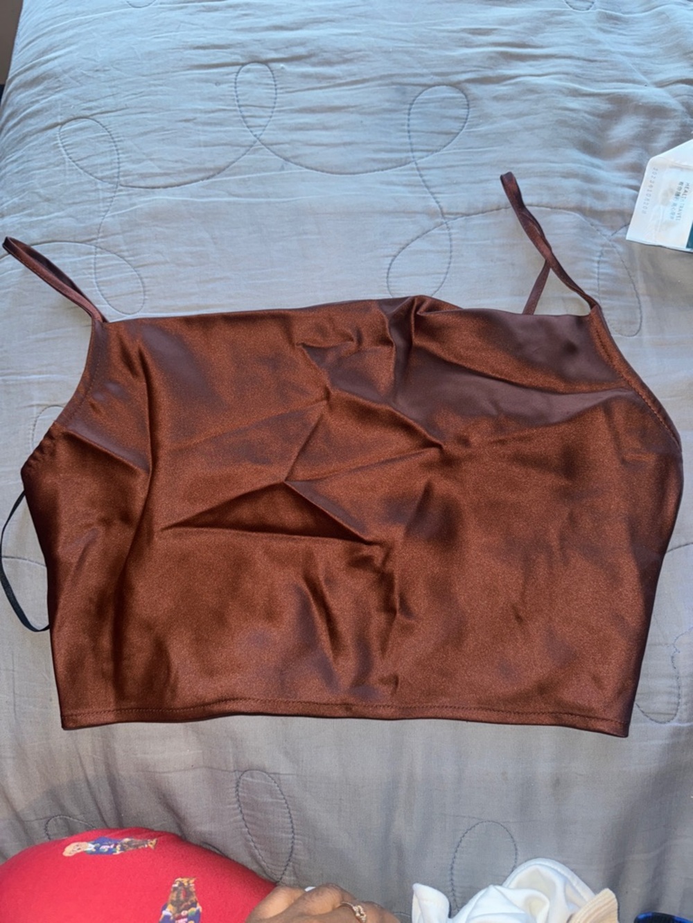 NWT Satin Spaghetti Strap Crop Top & NWT Satin Long skirt (both color Chocolate)